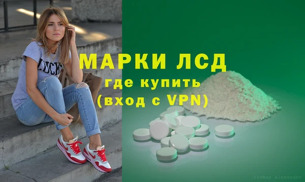 гашик Алексин