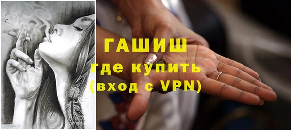 гашик Алексин