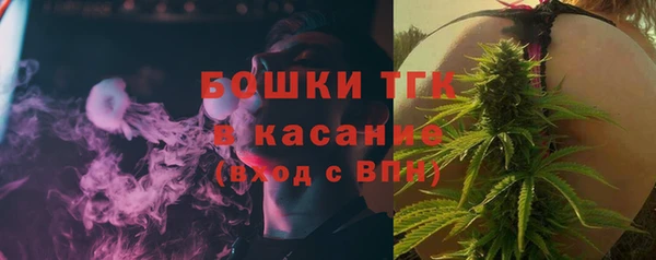 гашик Алексин