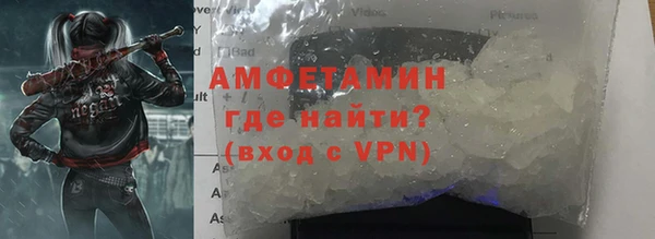 гашик Алексин