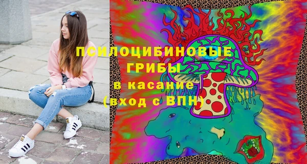 бошки Алексеевка