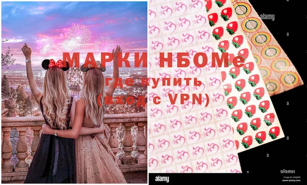 гашик Алексин